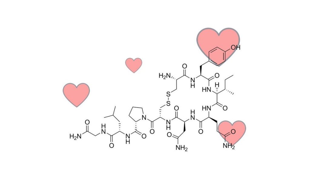 Oxitocina La Hormona Del Amor Weekend 3302